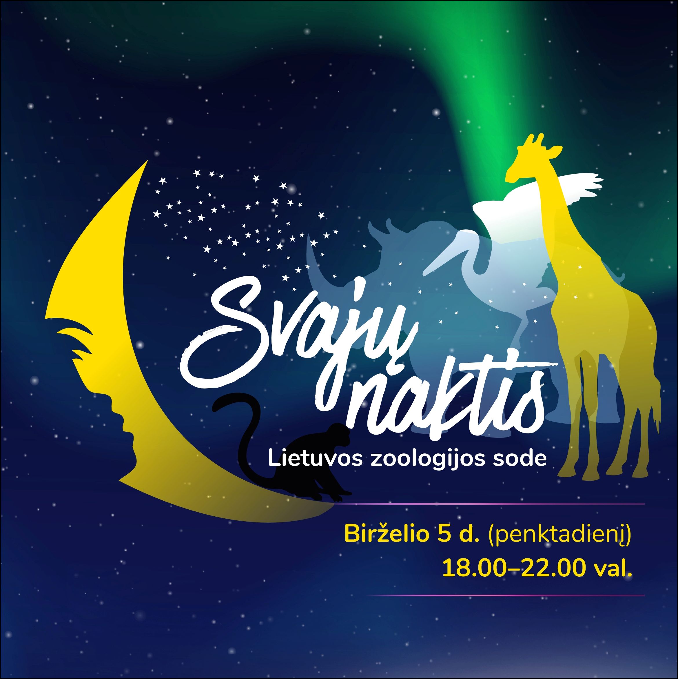Svajų naktis